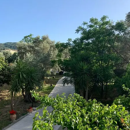 Olive Tree Apartments Lefkada City Exterior photo