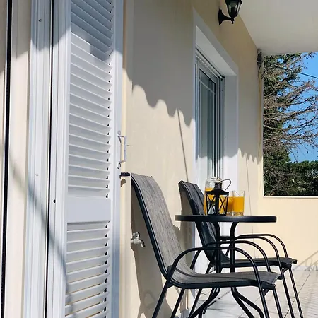 Olive Tree Apartments Lefkada City Room photo