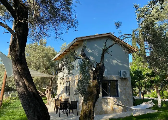 Olive Tree Apartments