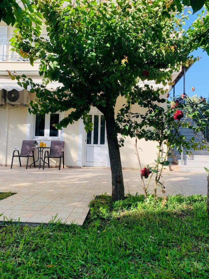 Olive Tree Apartment