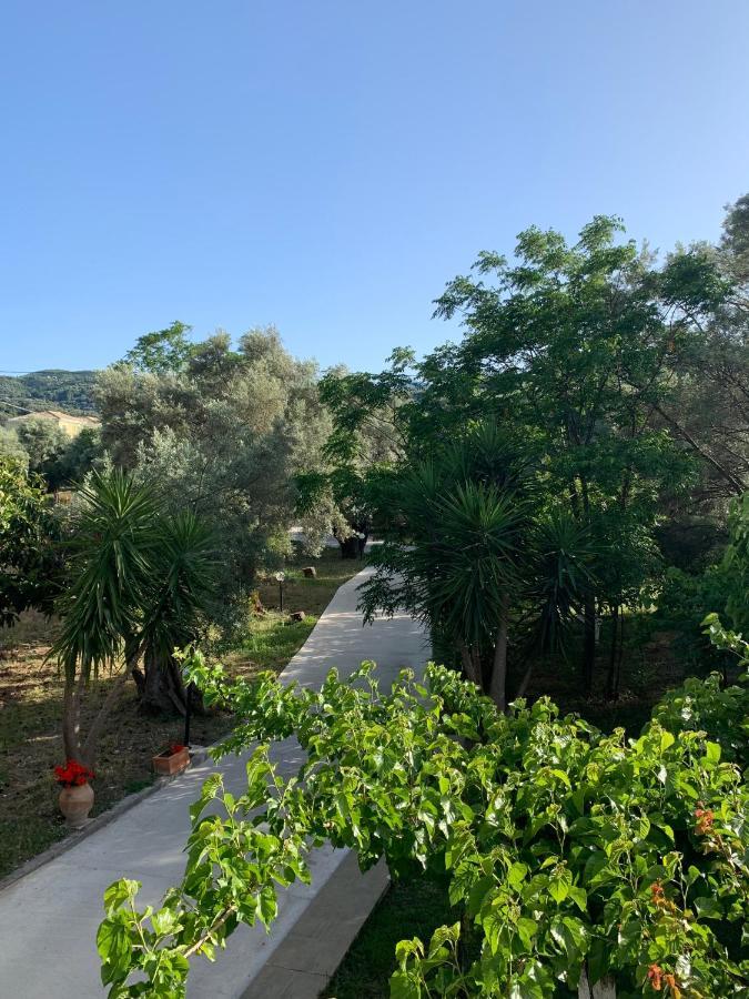 Olive Tree Apartment