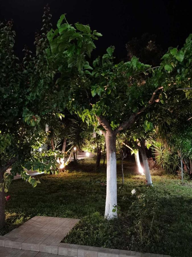 Olive Tree Apartment