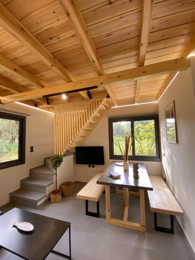 Olive Tree Apartment *