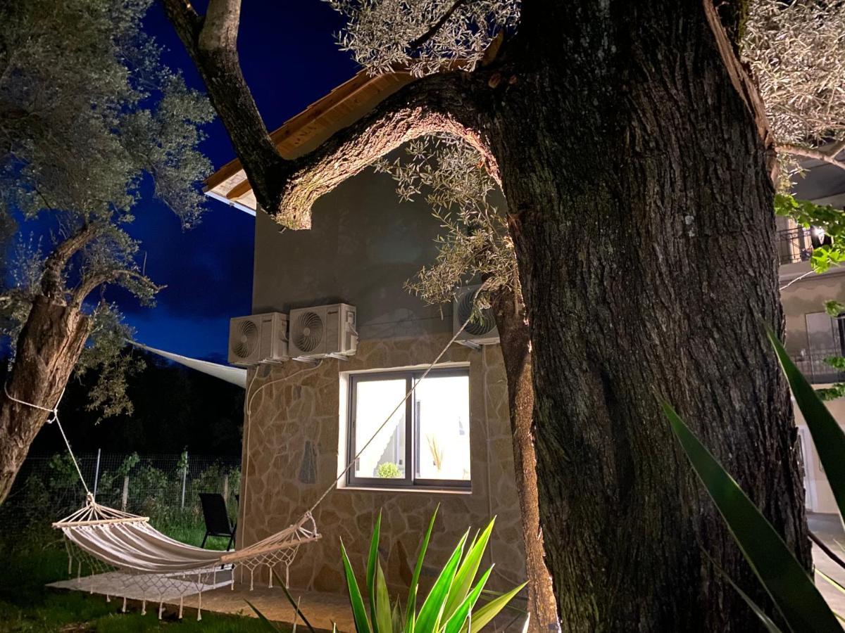 Olive Tree Lefkada City