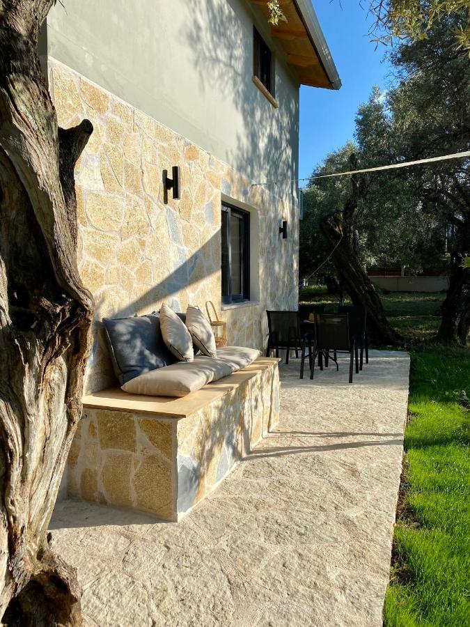 Olive Tree *